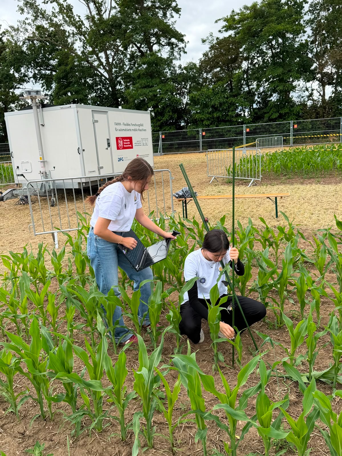 AgroSense 4
